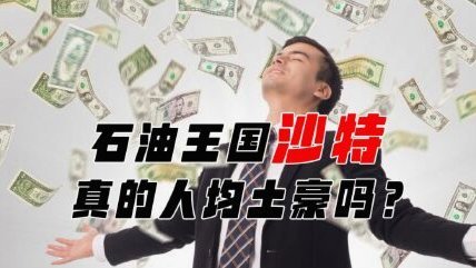 沙特：土豪还是现实？