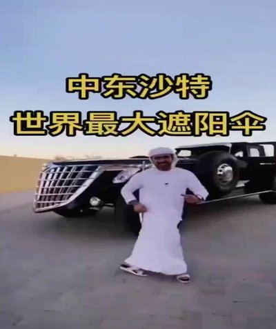 沙特不是土豪吗？百思不得其姐