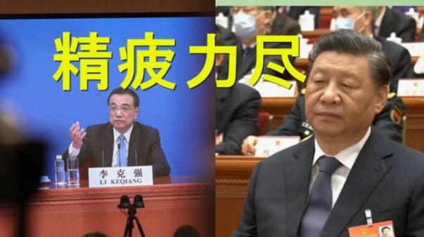克罗斯“匹诺曹”回应 传闻引猜测