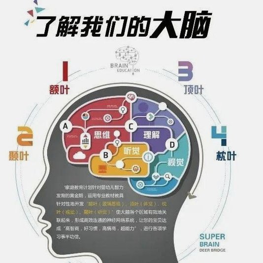 B费：智慧是最大优势，抢占决策先机