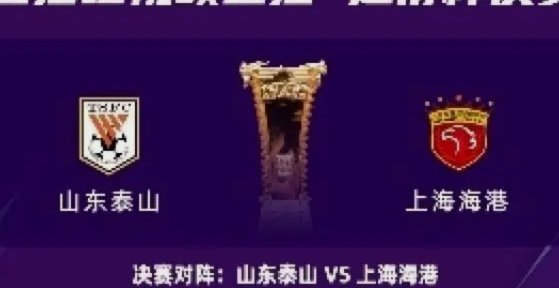 裁判评议：足协杯泰山vs海港，马德鲁加倒地不判点正确